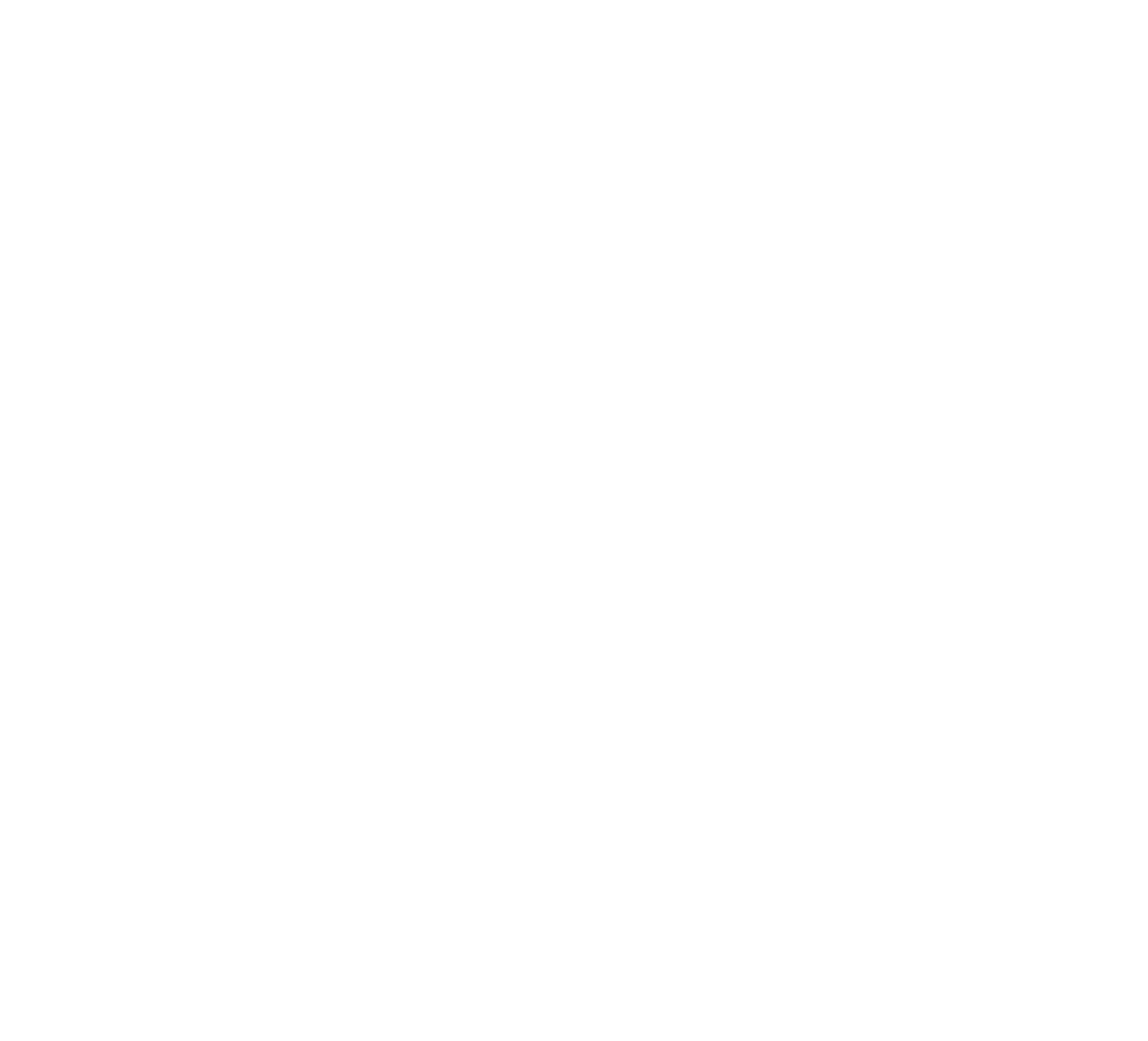 ZanarkanD Logo